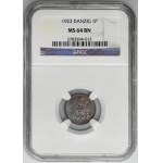 Free City of Danzig, 1 pfennige 1923 - NGC MS64 BN