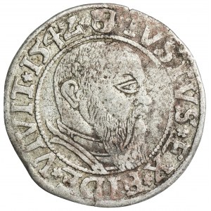 Prusy Książęce, Albrecht Hohenzollern, Grosz Królewiec 1542 - PRVSS