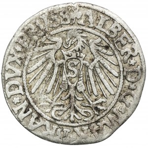 Ducal Prussia, Albert Hohenzollern, Groschen Königsberg 1542 - PRVSS