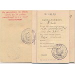 Zestaw, paszport 1929 oraz przepustka graniczna