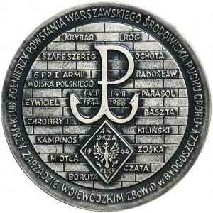 Medal Kazimierz Sosnkowski