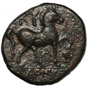 Greece, Aiolis, Kyme, AE20