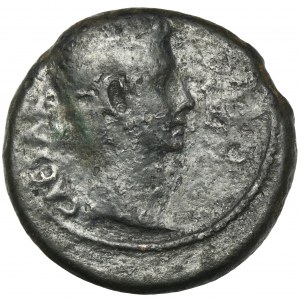 Provinz Rom, Syrien, Seleucia und Pieria, Antiochia, Octavian Augustus, Bronze