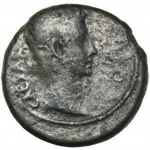 Roman Provincial, Syria, Seleucis and Pieria, Antioch, Augustus, As