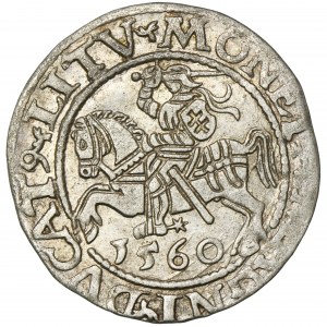 Sigismund II Augustus, halber Pfennig Vilnius 1560 - LI/LITV