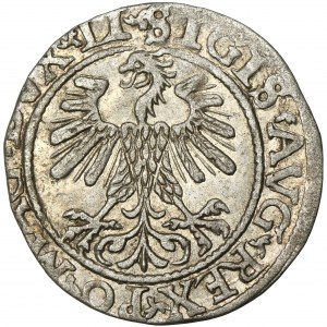 Sigismund II Augustus, halber Pfennig Vilnius 1560 - LI/LITV