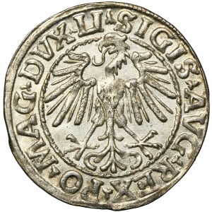 Sigismund II August, Halfgroat Vilnius 1548 - LI/LITVA