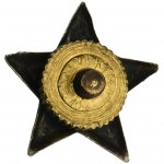 Gwiazdki do ekspozycji stopnia wojskowego na naramienikach lub otoku czapki wojskowej (4 szt.)