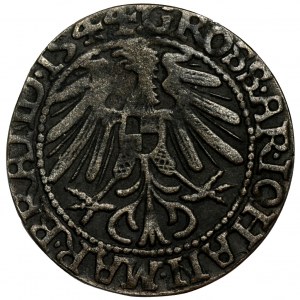 Silesia, John of Brandenburg-Küstrin, Groschen Krosno 1544