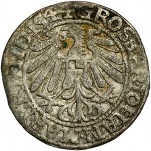 Silesia, John of Brandenburg-Küstrin, Groschen Krosno 1544 - UNLISTED
