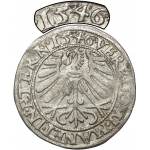 Schlesien, Herzogtum Legnicko-Brzesko-Wołowo, Friedrich II, Pfennig von Legnica 1546 - SEHR RAR