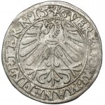 Schlesien, Herzogtum Legnicko-Brzesko-Wołowo, Friedrich II, Pfennig von Legnica 1546 - SEHR RAR