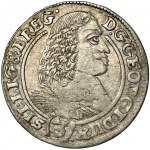 Schlesien, Herzogtum Legnicko-Brzesko-Wołowskie, Jerzy III Brzeski, 3 Krajcary Brzeg 1660 EW - NIENOTIERT