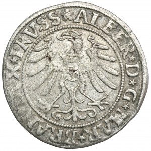 Duchy of Prussia, Albert Hohenzollern, Groschen Königsberg 1532