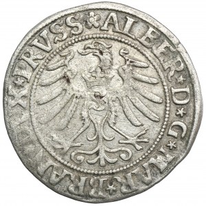 Herzogliches Preußen, Albrecht Hohenzollern, Grosz Königsberg 1532 - PRVSS