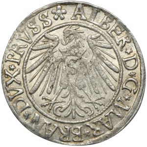Prusy Książęce, Albrecht Hohenzollern, Grosz Królewiec 1539 - PRVSS
