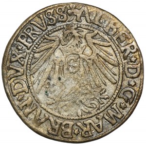 Duchy of Prussia, Albrecht Hohenzollern, Groschen Königsberg 1541