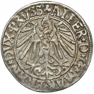 Prusy Książęce, Albrecht Hohenzollern, Grosz Królewiec 1545