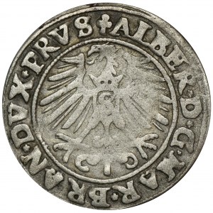 Duchy of Prussia, Albrecht Hohenzollern, Groschen Königsberg 1550 - RARE