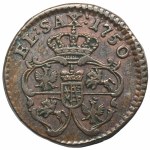 August III. Sachsen, Gubin Muschel 1750 - RARE