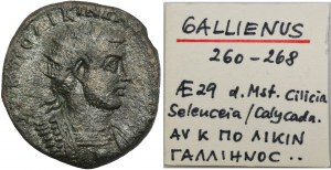 Rome Provincial, Cilicia, Gallienus, AE - ex. Awianowicz