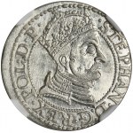 Stefan Batory, Grosz Gdańsk 1579 - NGC MS66 - WYŚMIENITY