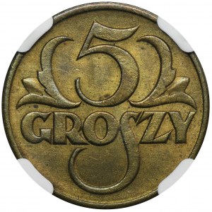 5 groszy 1923 Mosiądz - NGC MS65