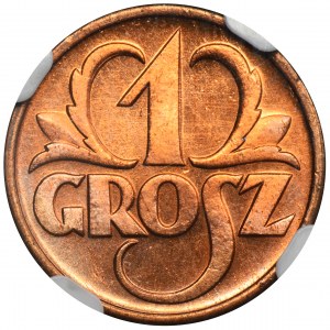 1 grosz 1937 - NGC MS65 RD