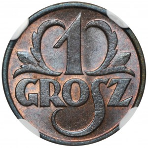 1 grosz 1931 - NGC MS65 BN