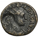 Römische Provinz, Bithynien, Nizza, Gordian III, Bronze, Assarion - ex. Avianovich