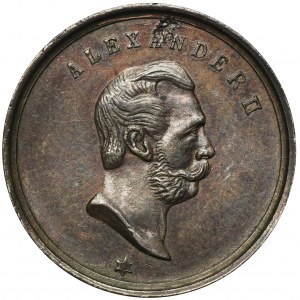Rosja, Aleksander II, Medal 1894