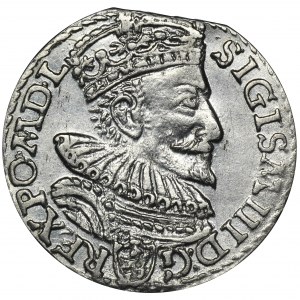 Sigismund III. Vasa, Trojak Malbork 1594