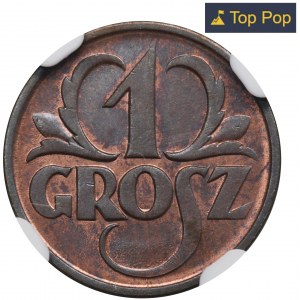 1 grosz 1925 - NGC MS66 RB