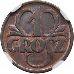 1 grosz 1925 - NGC MS66 RB