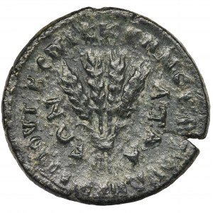 Römische Provinz, Phrygien, Apameia, Antoninus Pius, Bronze