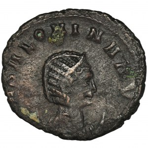 Römisches Reich, Salonina, Antoninian