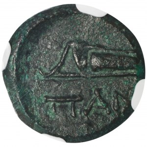 Griechenland, Zymerischer Bosporus, Panticapaeum, Braun - NGC XF