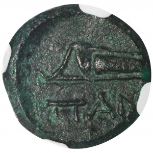 Greece, Cimmerian Bosphorus, Panticapaeum, AE13 - NGC XF