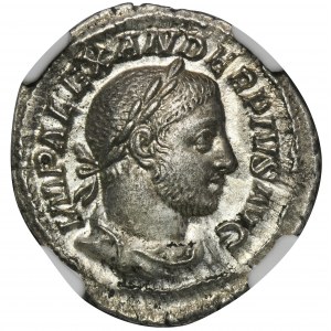 Cesarstwo Rzymskie, Aleksander Sewer, Denar - NGC Ch AU