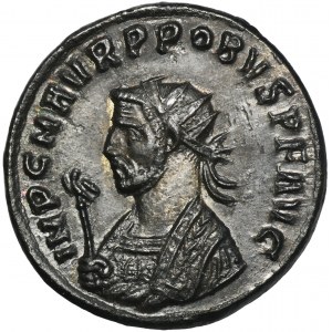 Roman Imperial, Probus, Antoninianus