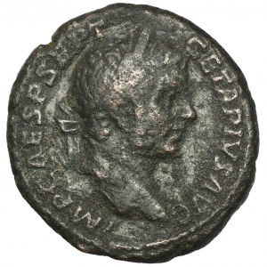 Roman Imperial, Geta, As - RARE