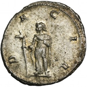 Cesarstwo Rzymskie, Trajan Decjusz, Antoninian