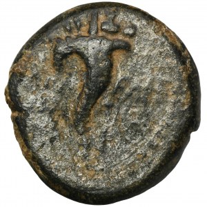 Roman Provincial, Lydia, Philadelphia, Agrippina II Junior, Hemiassarion