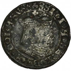 Sigismund I. der Alte, Der Danziger Pfennig 1533 - EIN FALL AUS DER ZEIT