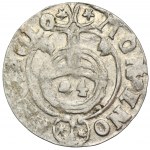 Sigismund III. Wasa, Półtorak Bydgoszcz 1624 - RZADKI, ex.Górecki