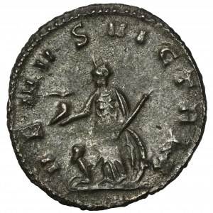 Roman Imperial, Salonina, Antoninianus - RARE