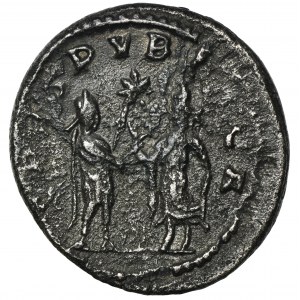 Roman Imperial, Saloninus, Antoninus - RARE