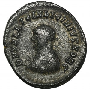 Roman Imperial, Licinius II, Follis