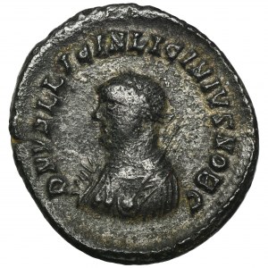 Cesarstwo Rzymskie, Licyniusz II, Follis