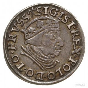 trojak 1539, Gdańsk, na awersie końcówka napisu PRVSS; ...